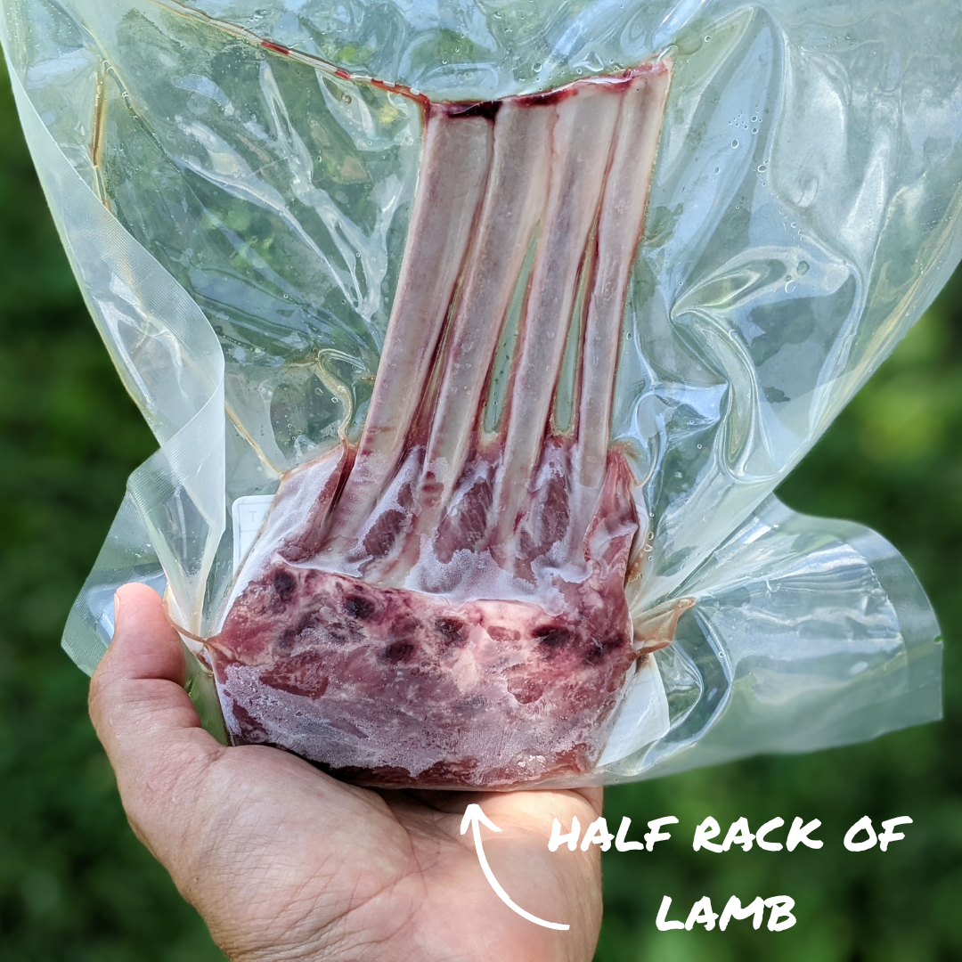 PASTURE-CRAFTED Grassfed Lamb Starter Bundle