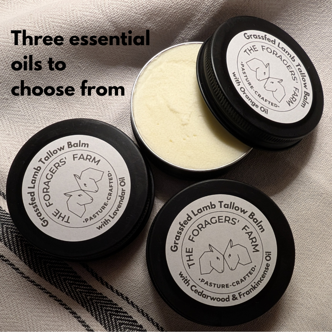 Lab Tallow Grassfed Lamb Tallow Balm – The Foragers' Farm