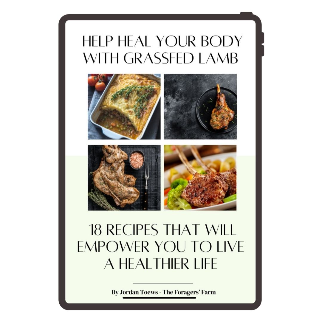 Heal Your Body with Grassfed Lamb: 18 Recipes to Empower Your Health | eBook