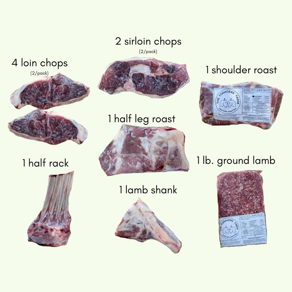 Holistic Hero's Grassfed Lamb Starter Bundle