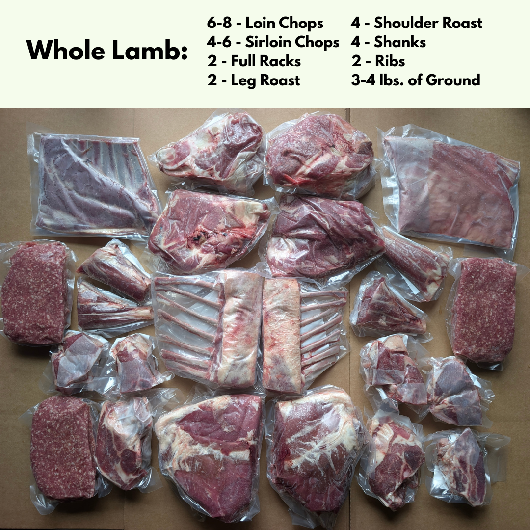 Family's Grassfed Lamb Bundle (Whole Lamb)